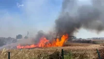 Edirne'de Buğday Tarlasındaki Yangın Kontrol Altına Alındı