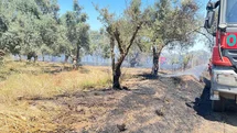 İzmir'de Korkutan Arazi Yangını Kontrol Altına Alındı