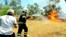 Muğla'da Orman Yangını Riski Artıyor