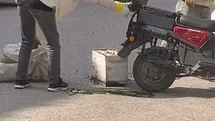 Bursa'da Arılar Motosiklet Üzerinde Oğul Verdi