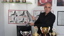 Osmaniye'den Bin Kilometre Uçan Güvercin