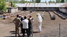 Erzincan Tercan'da Arıcılık ve Seracılık Takibi