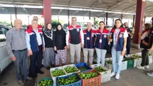 Aydın inciri için denetimler sürüyor