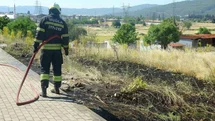 Muğla'da Sigara İzmariti Yangına Neden Oldu