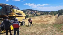Gediz'de Biçerdöverle Hasat Kontrolü Yapıldı