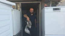 Zonguldak'ta Martı Yavrusu Tamirciyi Şaşırttı