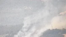 Çanakkale'de Karga Yangına Neden Oldu