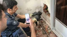 Elazığ’da Yavru Kedi Kurtarıldı