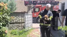 Batman’da fabrika duvarına sıkışan köpek kurtarıldı, işçiler hayvanı sahiplendi
