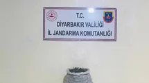 Diyarbakır'da 19 Kilo Esrar Ele Geçirildi