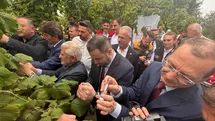 Trabzon'da Samuray Arısı Salımı Başladı