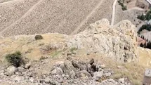 Keban'da Dağ Keçileri Görüntülendi