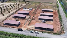 Efeler'de Sokak Hayvanları İçin Yeni Alanlar