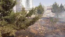 Mardin'de Yangınlara Müdahale Devam Ediyor