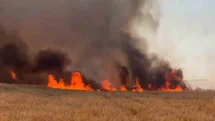 Tekirdağ'da Buğday Tarlaları Yanarak Zarar Gördü