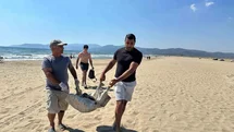 Aydın'da Deniz Kaplumbağası İkinci Kez Hedef Oldu