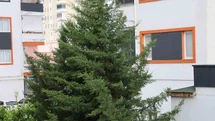Adana’nın kuzey ilçelerinde kuvvetli rüzgar etkili oldu
