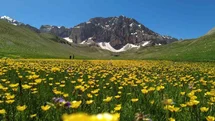 Merg Yaylası'nda Doğa Severlere Eşsiz Deneyim