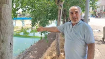 Adana'da Sivrisinek İstilasına Tepki Var