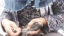 Trabzon'da Karabatak Kurtarma Anları