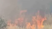 Diyarbakır'da Yerleşim Alanında Yangın