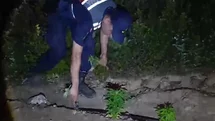 Mersin'de Kenevir Operasyonu Gerçekleşti