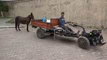 Amasya'da Engelli Gencin Katır Dostu