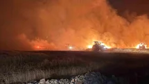 Mazıdağı'nda Ekili Araziler Zarar Gördü