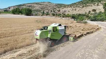 Altıeylül'de Hasat Zamanı Geldi