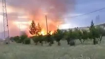 Adıyaman'da Yangın Felaketi