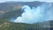 Soma'da Orman Yangınına Müdahale Başladı