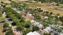 Adıyaman'da Dut Hasadı Başladı