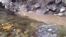 Bolu'da Kanalizasyon Suları Dereye Karıştı