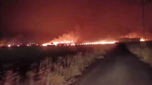 Şırnak'ta 300 Dönümlük Alan Yanarak Küle Döndü
