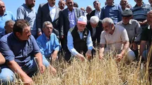 Nevşehir'de Tarımsal Üretim Vurgusu