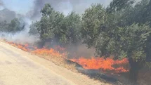 Edremit'te Çöp Alanında Yangın Çıktı
