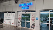Zonguldak'ta Ihlamur Ağacından Düşme Olayı