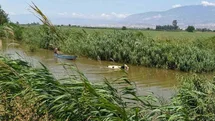 Hatay'da İneği İtfaiye Kurtardı