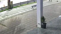 Kahramanmaraş'ta Nişanlı Çiftin Ölümüne Neden Olan Kaza Görüntüleri Yayınlandı