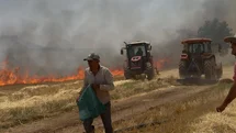 Mardin'de Yangın Kontrol Altına Alındı