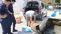 Söke'de Kaçak Su Ürünleri Denetimi