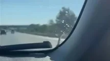 Seyir halindeki aracın kaputunda yılan paniği