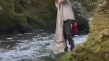 Bolu'da Avcılar Yasakları Çiğnedi
