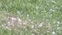 Van’da Ceviz Büyüklüğünde Dolu Yağışı Etkili Oldu