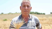 Adana'da Karakılçık Buğdayı Yeniden Üretimde
