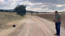 Eskişehir'de Kaybolan Gebe İnek İçin Dronla Arama