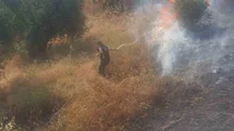 Nazilli Belediyesi ekipleri Bozyurt’taki yangın söndürme çalışmalarına destek veriyor