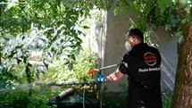 Düzce'de Asya Kaplan Sivrisineği Uyarısı