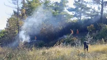 Antalya'da Orman Yangınına Kıvılcımlar Neden Oldu