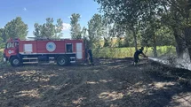 Muratlı’da buğday tarlasında yangın